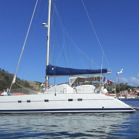 Catamaran Cypraea Hotel Terre-De-Haut Luaran gambar