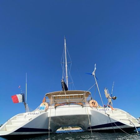 Catamaran Cypraea Hotel Terre-De-Haut Luaran gambar
