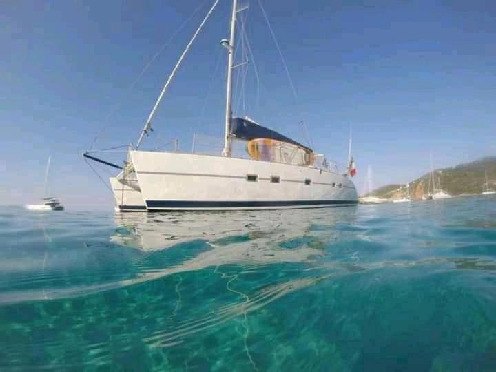 Catamaran Cypraea Hotel Terre-De-Haut Luaran gambar