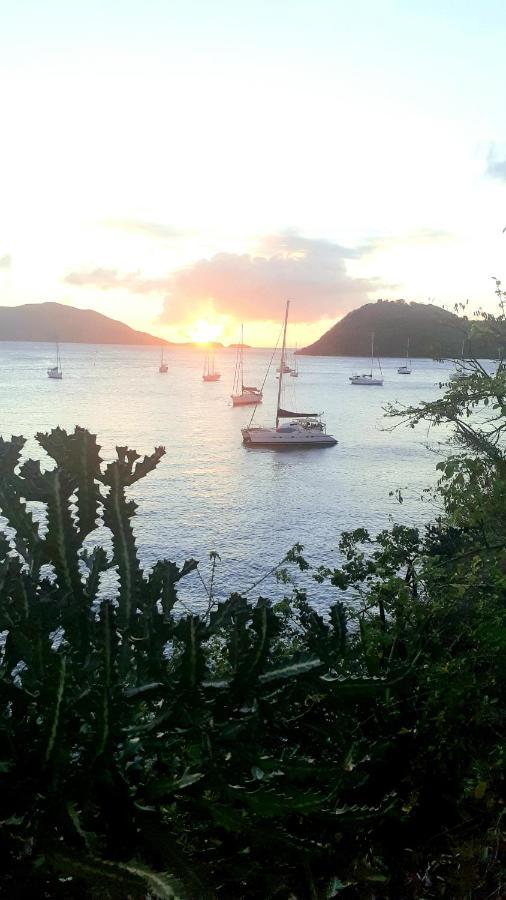 Catamaran Cypraea Hotel Terre-De-Haut Luaran gambar