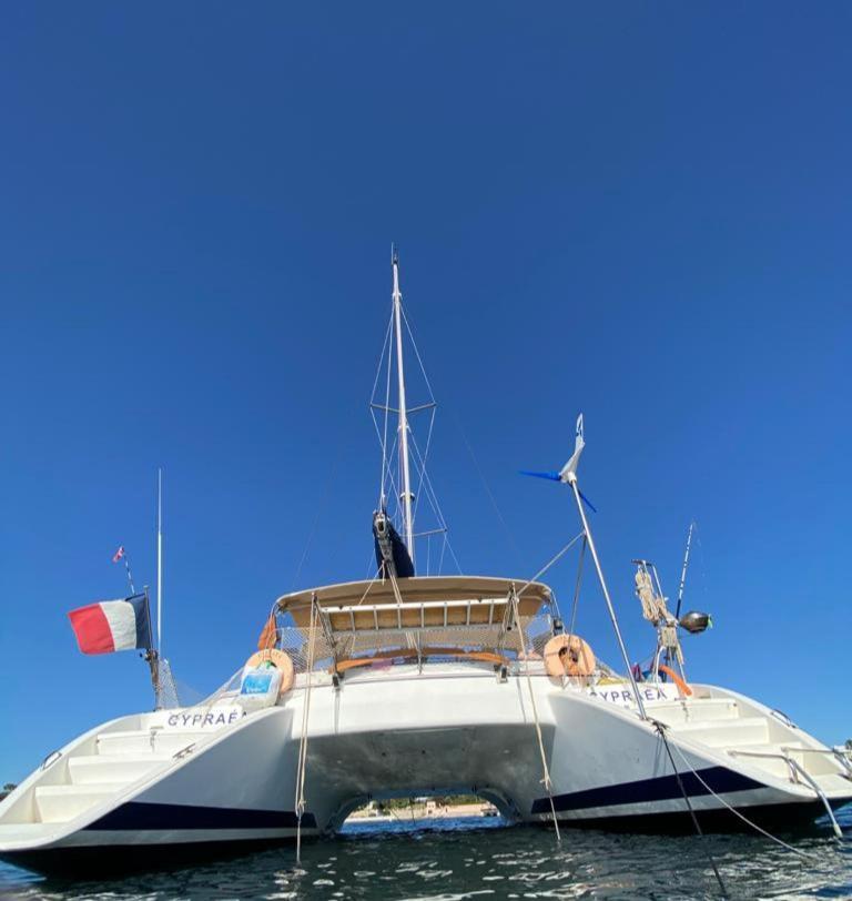 Catamaran Cypraea Hotel Terre-De-Haut Luaran gambar